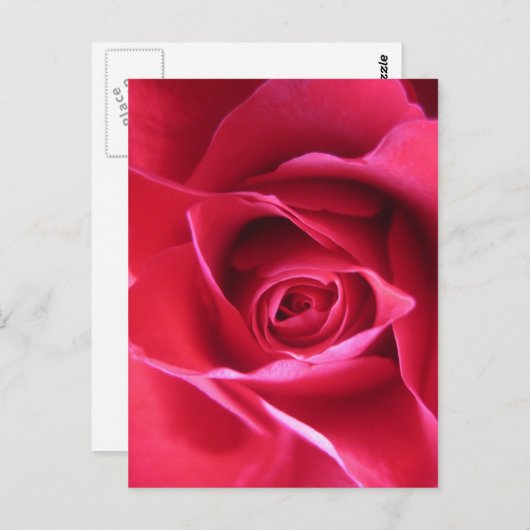 Rode roos briefkaart (Voorkant / Achterkant)