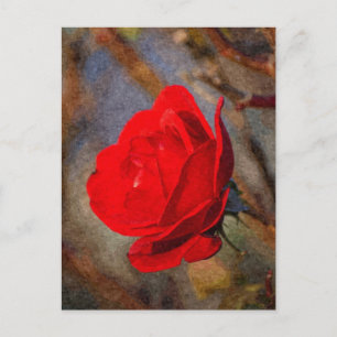 Rode Roos Briefkaart