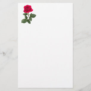 Rode roos briefpapier