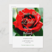 Rode Roos Bruiloft Save the Date  Uitnodiging Briefkaart (Voorkant / Achterkant)