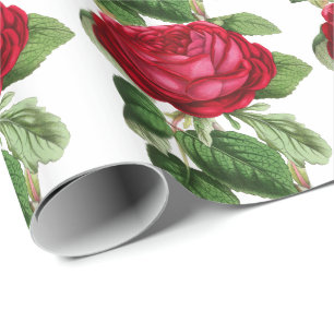 Rode roos cadeaupapier