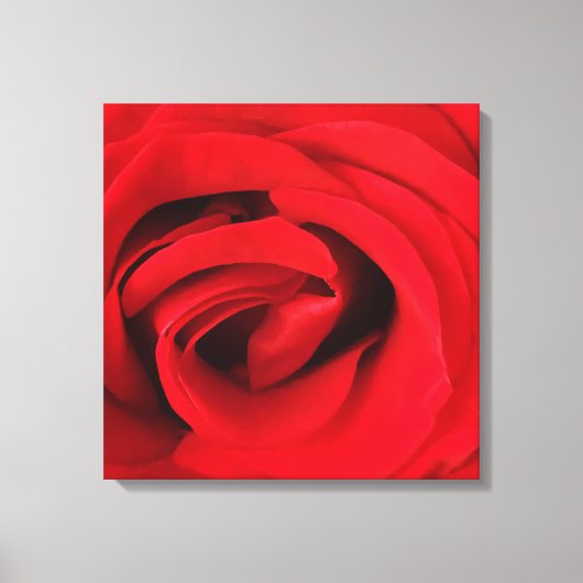 Rode Roos Canvas Afdruk (Voorkant)