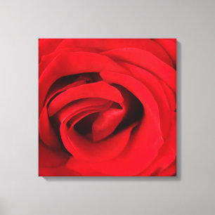 Rode Roos Canvas Afdruk