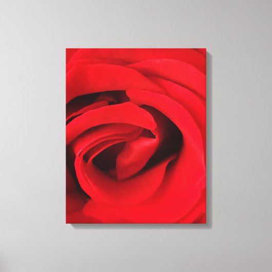 Rode Roos Canvas Afdruk (Voorkant)