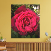Rode Roos Canvas Afdruk (Insitu (Woonkamer))
