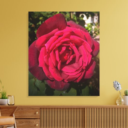 Rode Roos Canvas Afdruk (Insitu (Woonkamer))