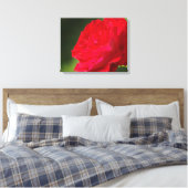 Rode Roos - Canvas Afdruk (Insitu (Slaapkamer))