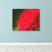 Rode Roos - Canvas Afdruk (Insitu (Houten vloer))