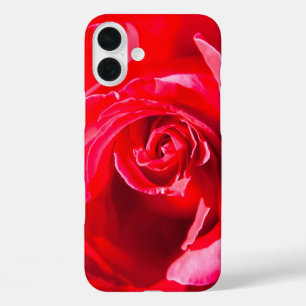 Rode roos iPhone 16 plus hoesje