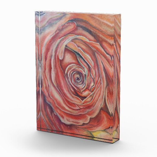 Rode roos centrum fotoblokken (Rechts)