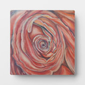 Rode roos centrum fotoplaat (Voorkant)