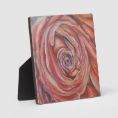 Rode roos centrum fotoplaat (Voorkant)