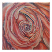 Rode roos centrum perfect poster (Voorkant)