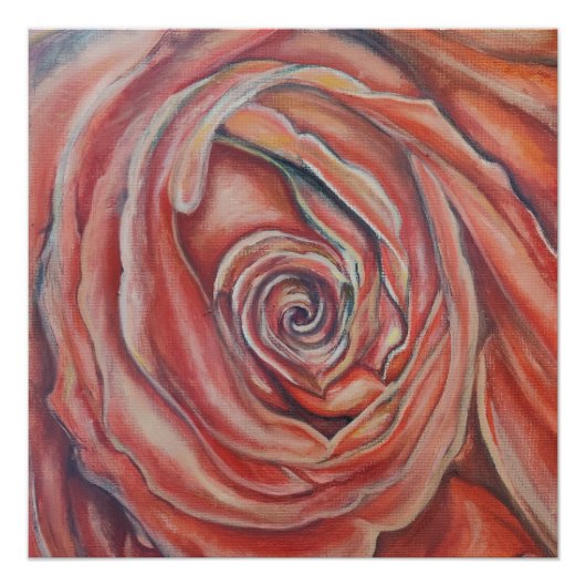 Rode roos centrum perfect poster (Voorkant)