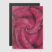 Rode roos close-up (Voorkant / Achterkant)