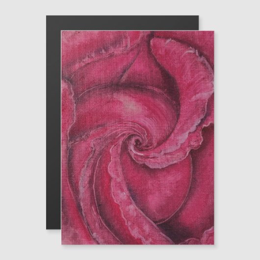 Rode roos close-up (Voorkant / Achterkant)