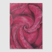 Rode roos close-up (Voorkant)