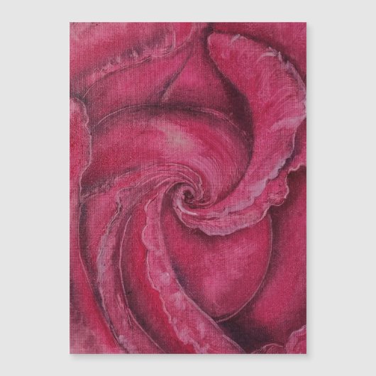 Rode roos close-up (Voorkant)