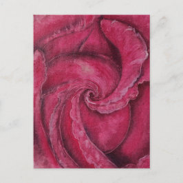 Rode roos close-up briefkaart