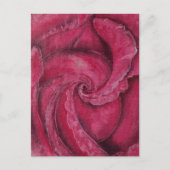 Rode roos close-up briefkaart (Voorkant)