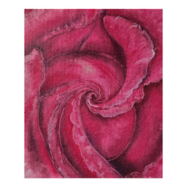 Rode roos close-up foto afdruk