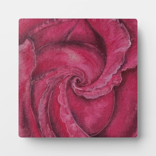 Rode roos close-up fotoplaat (Voorkant)