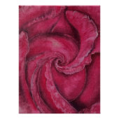 Rode roos close-up perfect poster (Voorkant)