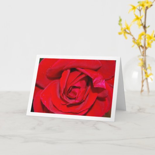 Rode Roos Close-up Portret Kaart (Gele Bloem)