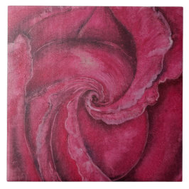 Rode roos close-up tegeltje