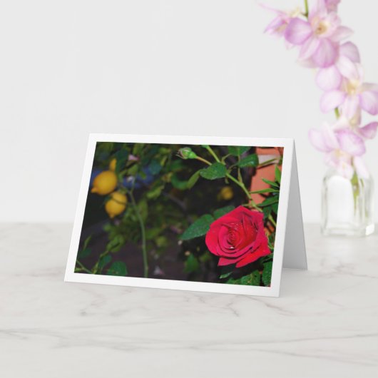 Rode roos en citroenen kaart (Orchidee)