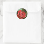 Rode roos, gedeeltelijk open bloemen ronde sticker (Tas)