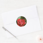 Rode roos, gedeeltelijk open bloemen ronde sticker (Envelop)