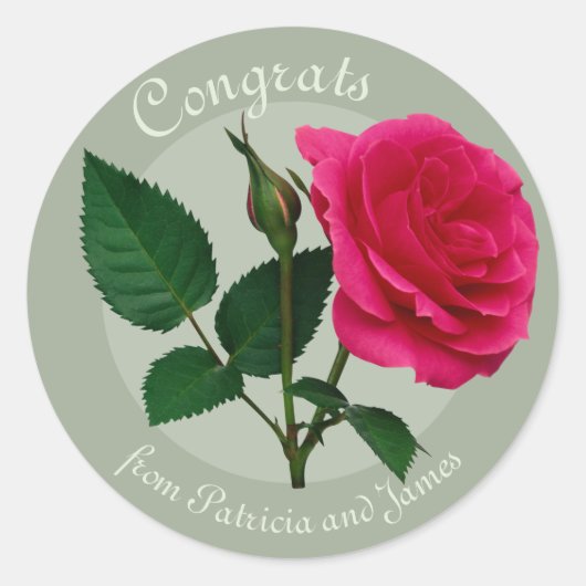 Rode roos Gefeliciteerd Examen Feest CC0883 Ronde Sticker (Voorkant)