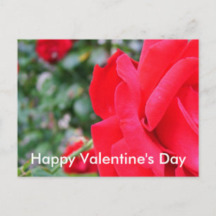 Rode roos, gelukkige valentijnsdag feestdagenkaart
