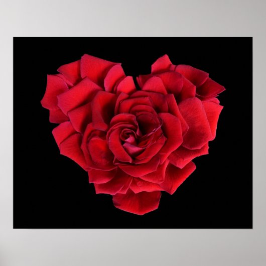 Rode Roos Hart op Zwart Poster (Voorkant)