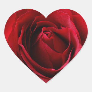 rode roos hart sticker