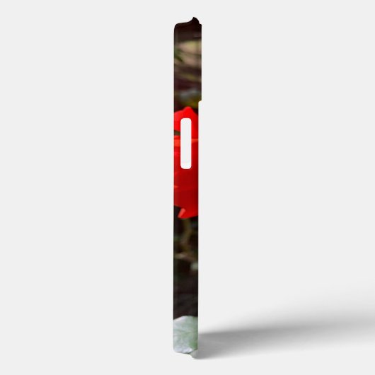 Rode roos iPhone 13 Hoesje (Achterkant / Rechts)