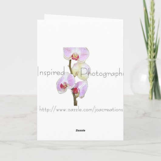 Rode Roos Kaart (Achterkant)