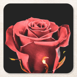 Rode roos kartonnen onderzetters