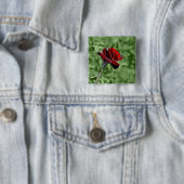 Rode Roos Knop Vierkante Button 5,1 Cm (In situ)