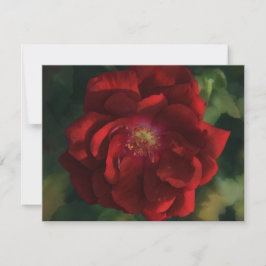 Rode Roos Kunst Bloem Bloemige Notitiekaart Set Notitiekaartje