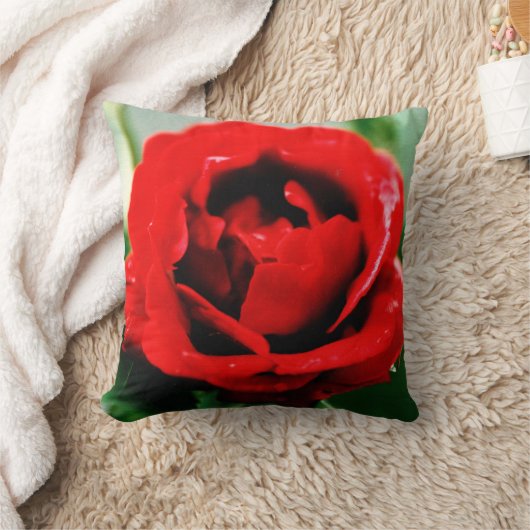 Rode Roos Liefde  Kussen (Deken)