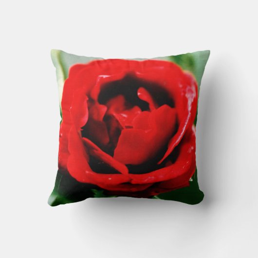 Rode Roos Liefde  Kussen (Achterkant)