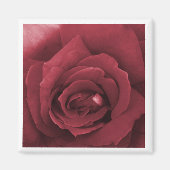 rode roos magneet (Voorkant)