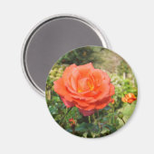 Rode roos magneet (Voorkant / Achterkant)