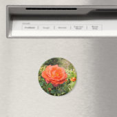 Rode roos magneet (Insitu (Vaatwasser))