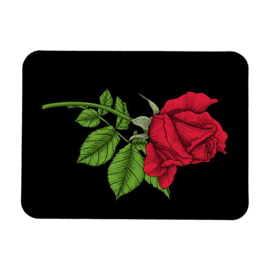 Rode roos magneet (Horizontaal)