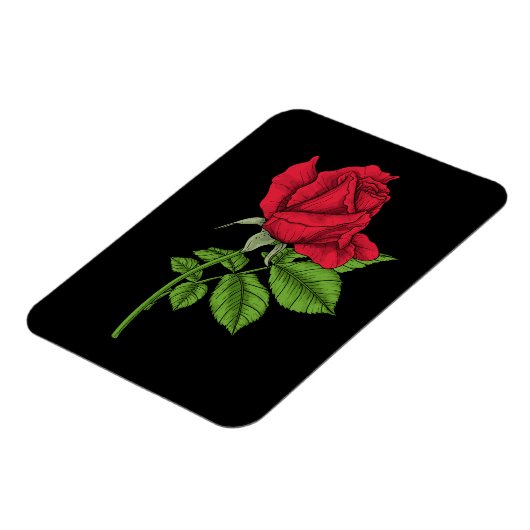 Rode roos magneet (Linkerzijde)