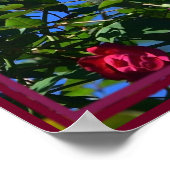 Rode roos met een citaat van Louie Armstrong Poster (Hoek)