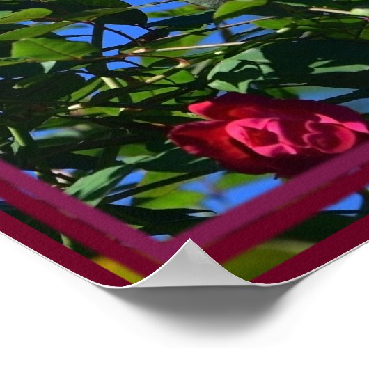 Rode roos met een citaat van Louie Armstrong Poster (Hoek)